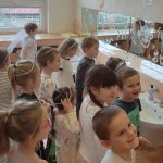 phoca_thumb_m_sktek 61 Fotogalerie